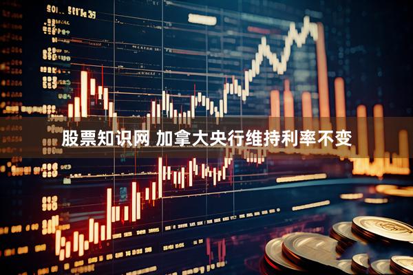 股票知识网 加拿大央行维持利率不变
